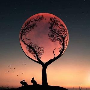 Meet your Posher, Lorraine